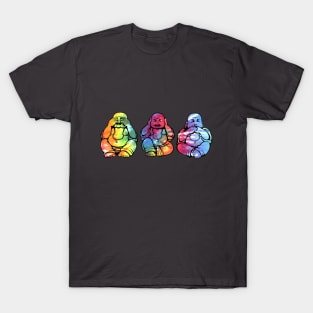 See no, Hear no, Speak no evil T-Shirt